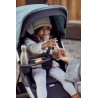 Thule Spring kandik