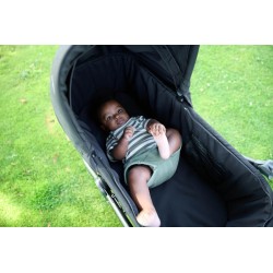 Bumbleride bassinet