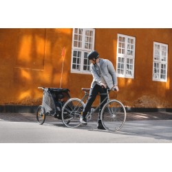 Thule Chariot Coaster XT