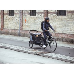 Thule Courier koerahaagise komplekt