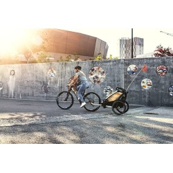 Thule Chariot Lite 2