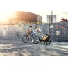 Thule Chariot Lite 2