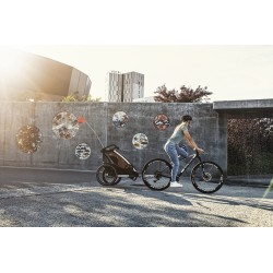 Thule Chariot Lite 2