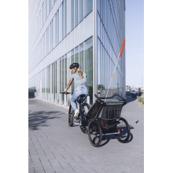 Thule Chariot Lite 2