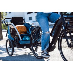 Thule Chariot Courier