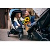 Thule Spring
