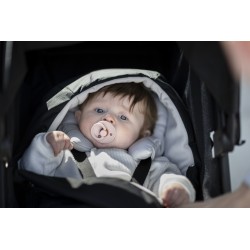 Thule newborn nest