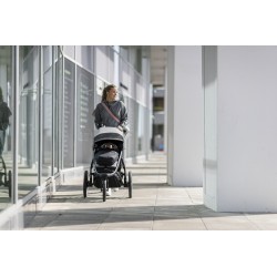 Thule newborn nest