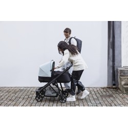 Thule Shine vankrikorv