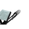 Thule Shine