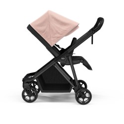 Thule Shine