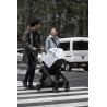 Thule Shine