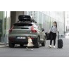 Thule transpordikott
