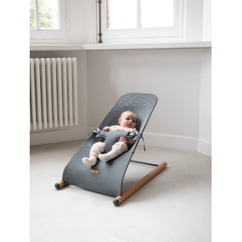 Rent - Evolux bouncer chair