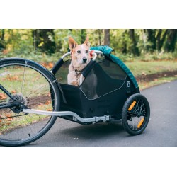 Burley Tail Wagon