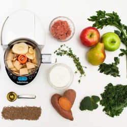 BabyBrezza food processor