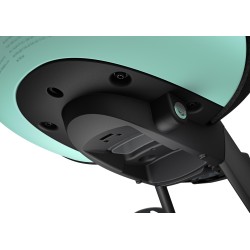 Thule Yepp Nexxt 2 Mini