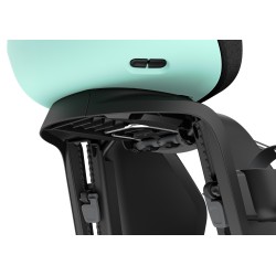 Thule Yepp Nexxt 2 Maxi