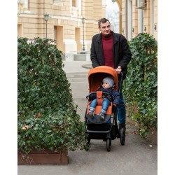 Carello Alfa