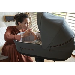 Inglesina Aptica XT