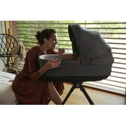 Inglesina Aptica XT