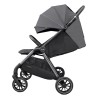 Carrello Delta