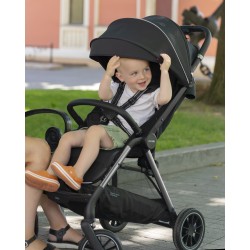 Carrello Delta