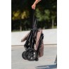 Carrello Nero