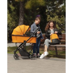 Carrello Alfa