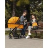 Carrello Alfa