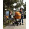 Carrello Alfa
