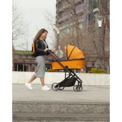 Carrello Alfa