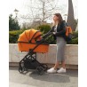 Carrello Alfa