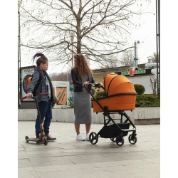 Carrello Alfa