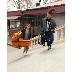 Carrello Alfa