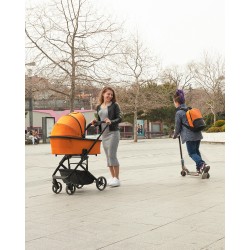 Carrello Alfa