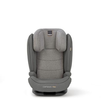 Cartesio car seat