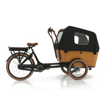 Carry 3 cargo bike