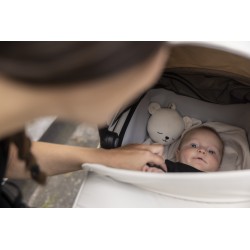 Thule bassinet
