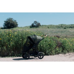 Bumbleride putukavõrk