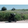 Bumbleride putukavõrk