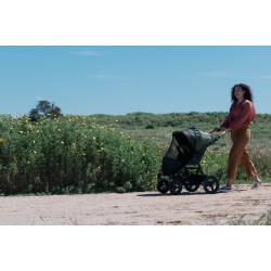 Bumbleride putukavõrk