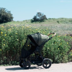 Bumbleride putukavõrk