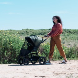 Bumbleride putukavõrk