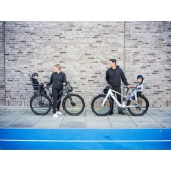 Thule RideAlong 2