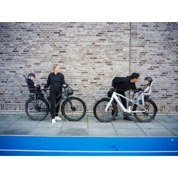 Thule RideAlong 2