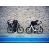 Thule RideAlong 2