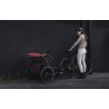 Thule Chariot Sport 2