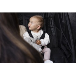 Thule Chariot Sport 2