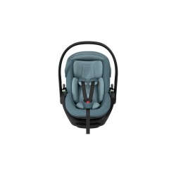 Thule Maple